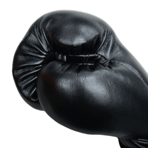 rofboxing Barghest gloves